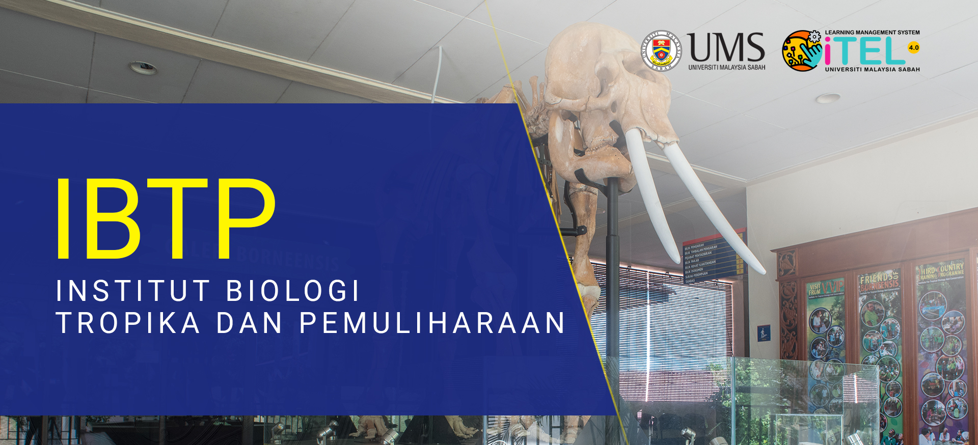 Institut Biologi Tropika Dan Pemuliharaan
